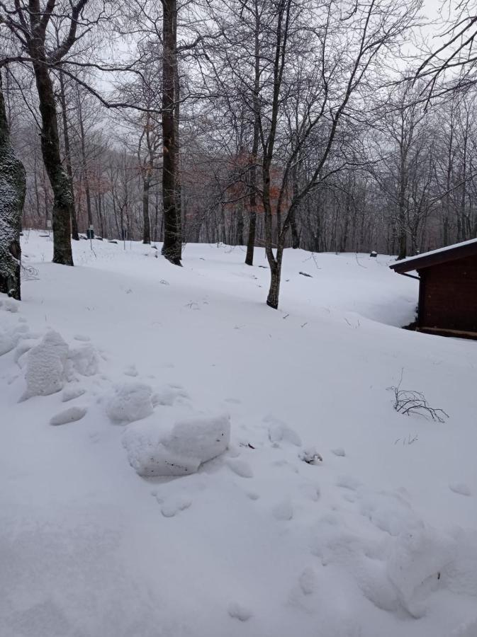 Villaggio Anemone Chalet Fragolina Capanne di Sillano Εξωτερικό φωτογραφία